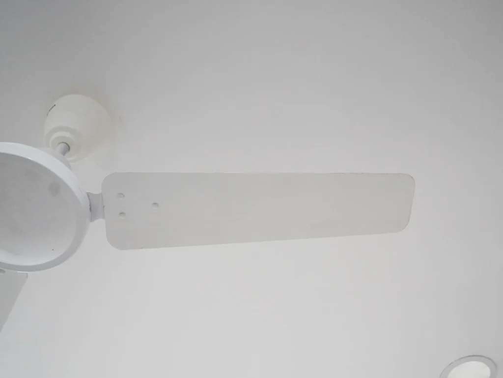Crompton BLDC Fan Blade