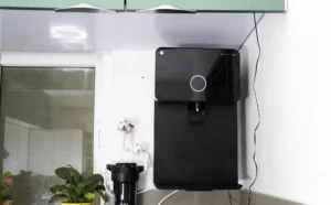 Urban Company water purifier reviews