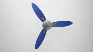 Usha Bloom Ceiling Fan Review Usha ceiling fan reviews