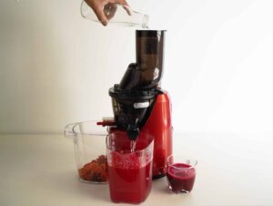 Kuvings B1700 Cold Press Juicer Review kuvings b1700 review