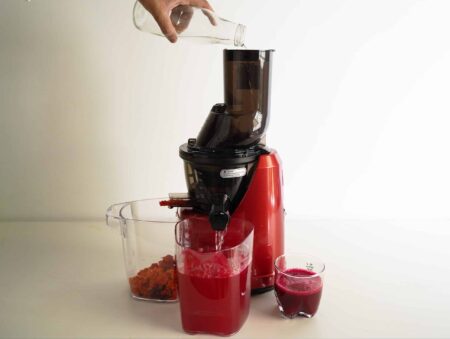 Kuvings B1700 Cold Press Juicer Review kuvings b1700 review