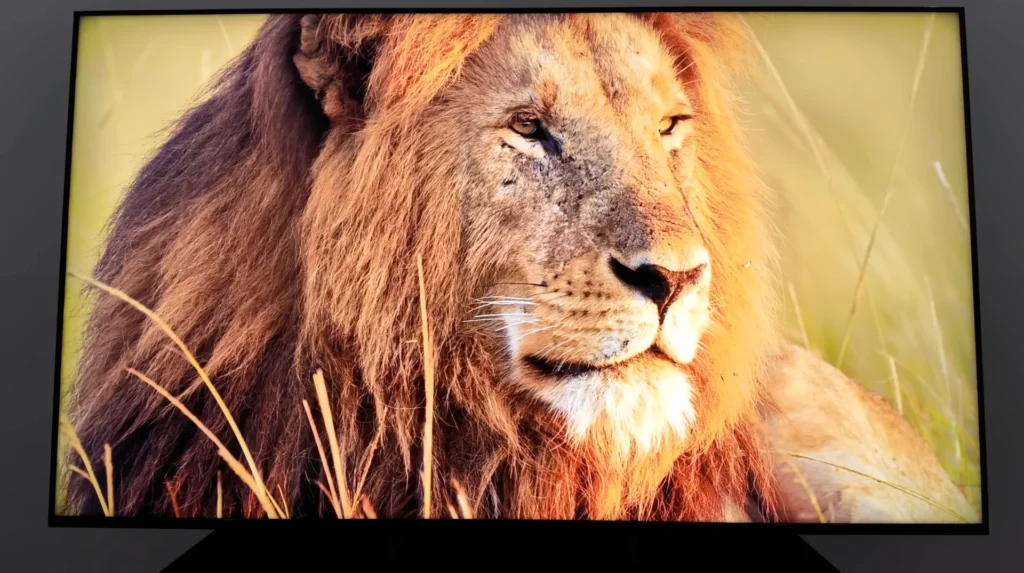 Sony Bravia 5 Mini Led