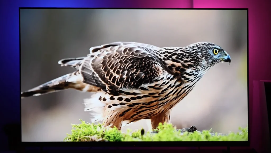 Bravia 3M2 Colors