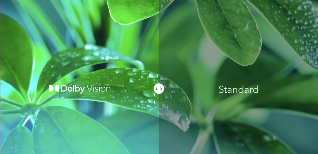 Dolby vision vs hdr