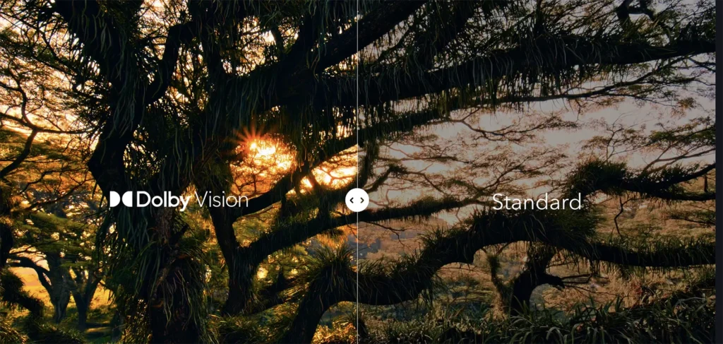 dolby vision 2 vs standard
